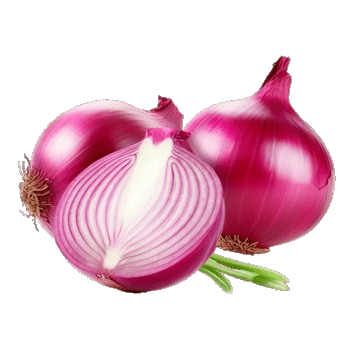 Onion